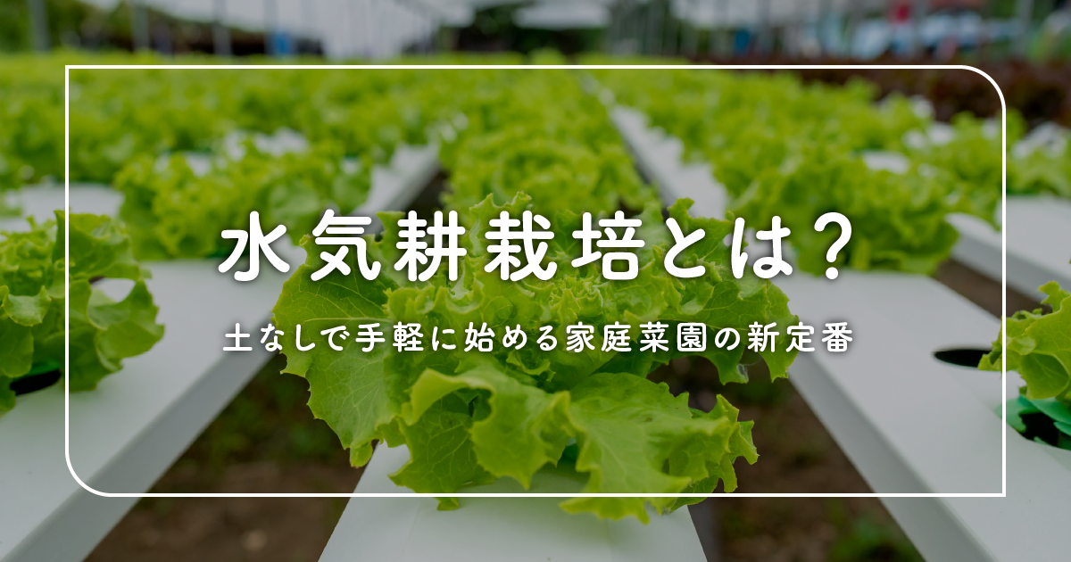 水気耕栽培とは？